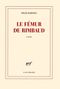 Le fémur de Rimbaud