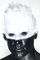 Illustration Discographie de Wes Borland