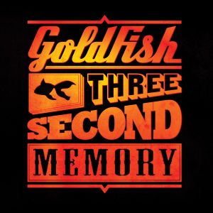 Three Second Memory