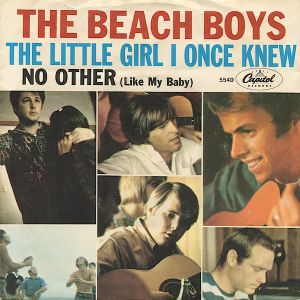 The Little Girl I Once Knew (Single)