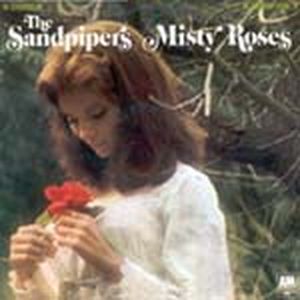 Misty Roses