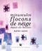 Minuscules flocons de neige depuis dix minutes