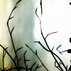 A Sense of Uncertainty (EP)