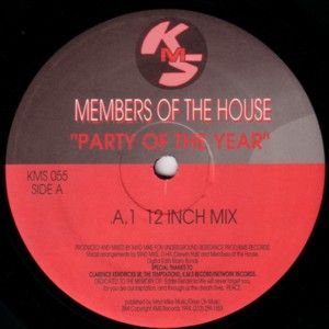 Party of the Year (12" mix)