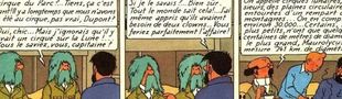 Cover Tout Tintin - 24 albums en 24 citations