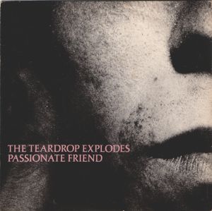 Passionate Friend (Single)