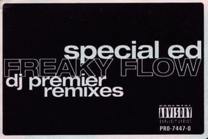 Freaky Flow (DJ Premier remix) (Street version)