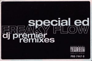 Freaky Flow (DJ Premier remix) (a cappella)