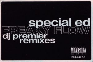 Freaky Flow (DJ Premier remix) (instrumental)