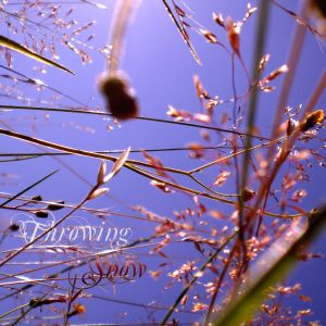 In the Myth of Your First April (EP)