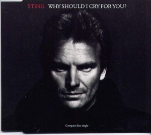 Why Should I Cry For You (Single)
