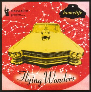 Flying Wonders