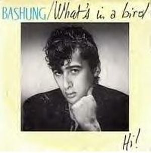 What’s in a Bird / Hi! (Single)