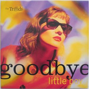 Goodbye Little Boy (Single)