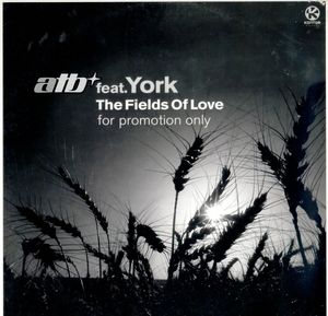 The Fields of Love (Single)