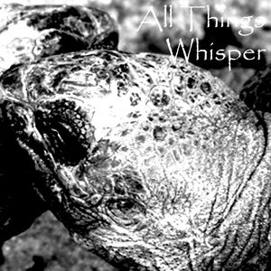 All Things Whisper