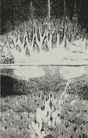 The River That Flows Into the Sands II