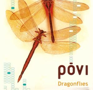 Dragonflies (Strapped to Your Bed mix)
