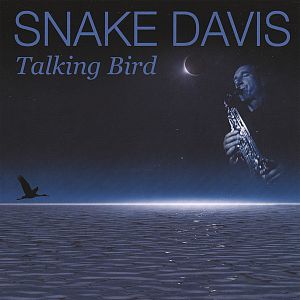 Talking Bird