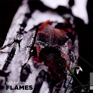 Flames (Single)