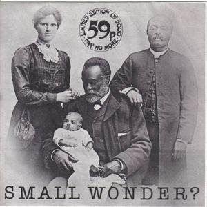 Small Wonder? (Single)