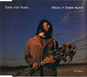 Break It Down Again (Single)