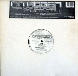 Nitrogen: Trip Hop Sources From the Past (EP)