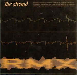 Haunted (Massiv In Mensch Remix)