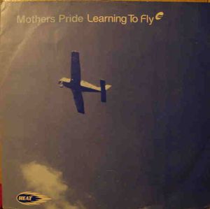 Learning to Fly (Original Mistral radio edit)