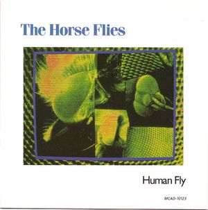 Human Fly