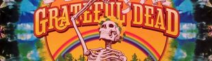 Pochette Sunshine Daydream (Live)