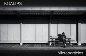 Microparticles