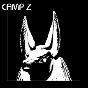 Camp Z