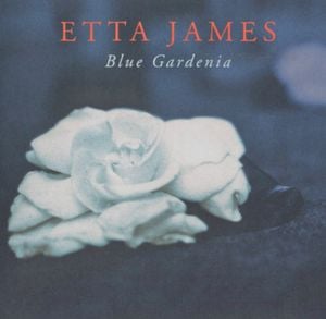 Blue Gardenia