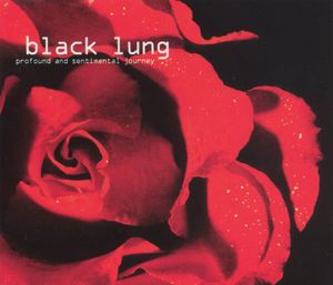 Profound and Sentimental Journey (EP)