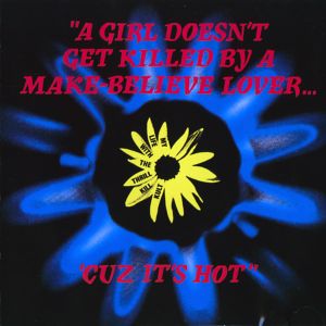A Girl Doesn't Get Killed by a Make-Believe Lover... 'Cuz It's Hot (Single)