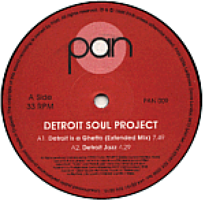 Detroit Is a Ghetto (extended mix)