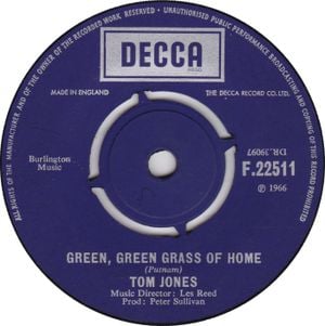 Green Green Grass of Home (Single)