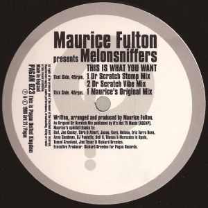 This Is What You Want (Maurice's original mix)