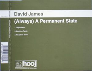 (Always) A Permanent State (original mix)