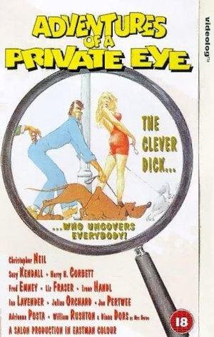 Adventure of a Private Eye