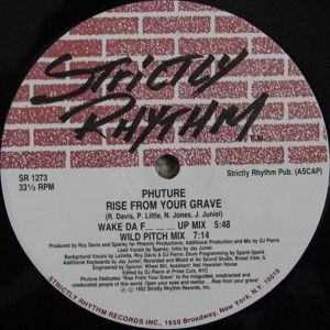 Rise From Your Grave (Wild Pitch mix)