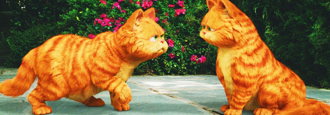 Cover Garfield 2