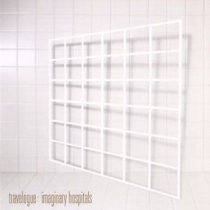 Imaginary Hospitals