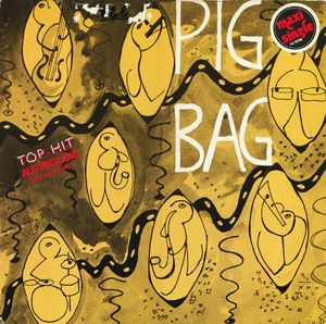 Papa’s Got a Brand New Pigbag (Single)