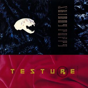 Testure (Single)