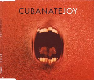 Joy (Single)