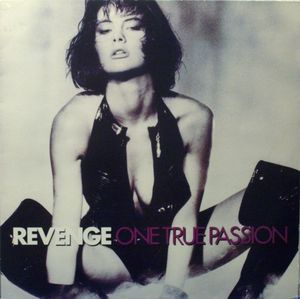 I'm Not Your Slave (US remix)