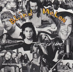 Tones of Home (Single)