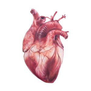 Atama No Naka Odaiji Ni